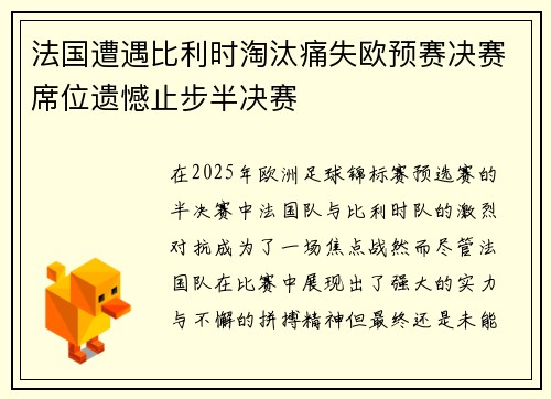 法国遭遇比利时淘汰痛失欧预赛决赛席位遗憾止步半决赛