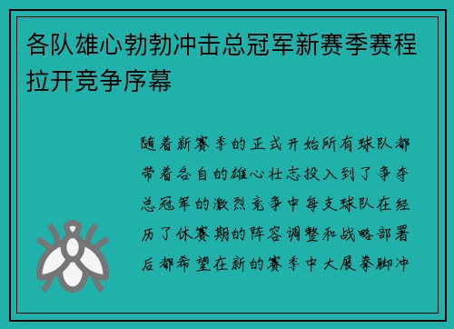 各队雄心勃勃冲击总冠军新赛季赛程拉开竞争序幕