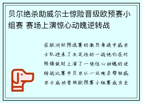贝尔绝杀助威尔士惊险晋级欧预赛小组赛 赛场上演惊心动魄逆转战